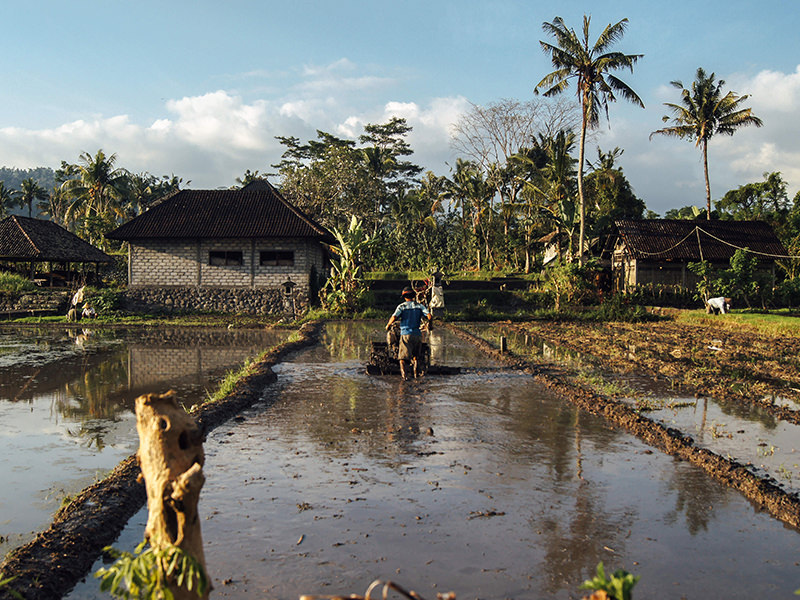 A rural agricultural landscape